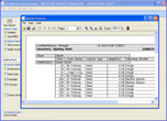 GeoMaintenance Manager Inventory Reports